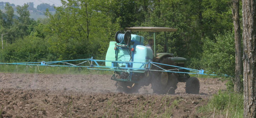 Nature - Jean-François Noblet