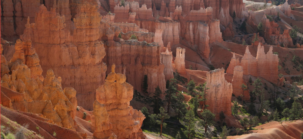 Nature - Jean-François Noblet