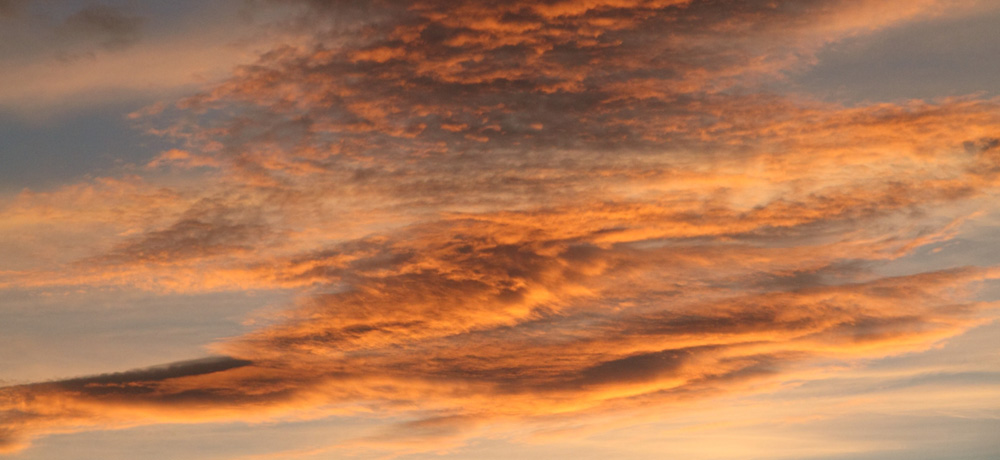 Nature - Jean-François Noblet